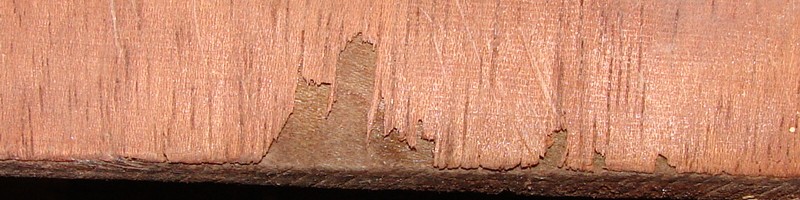 Torn Veneer on the top of the case