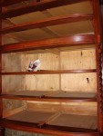 carcasestain