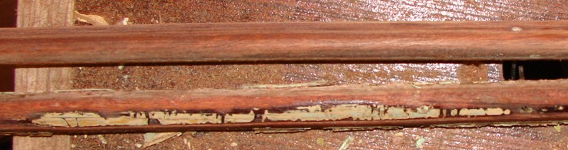 trimbits
